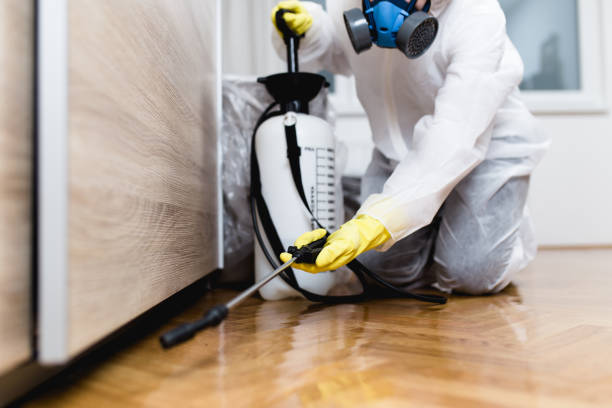 Best Flea Control Services  in Verdi, NV
