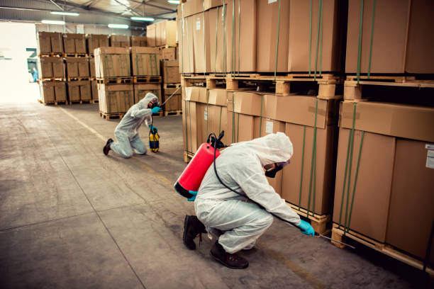 Best Commercial Pest Control Services  in Verdi, NV