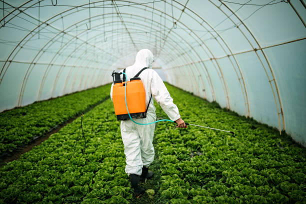 Best Affordable Pest Control Services  in Verdi, NV