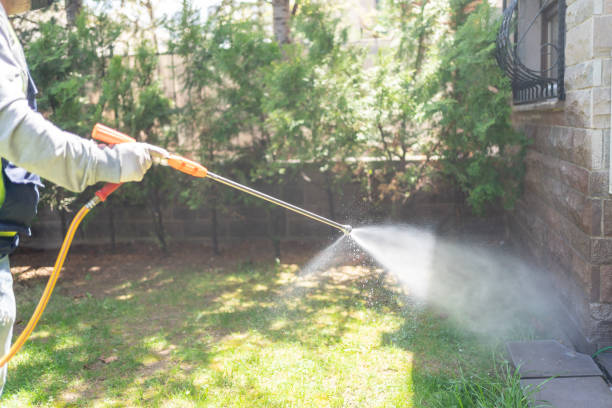 Best Commercial Pest Control Services  in Verdi, NV